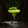 C MARGARITA 27CL. "T" 6U